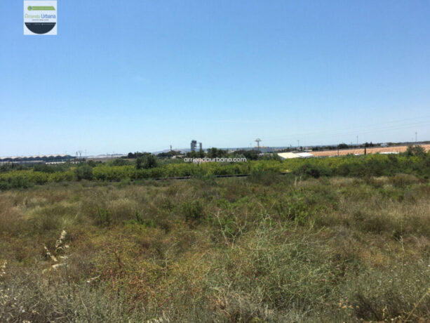 property image #2