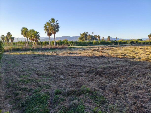 property image #1