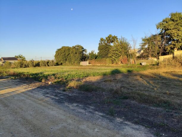 property image #2