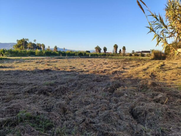 property image #3