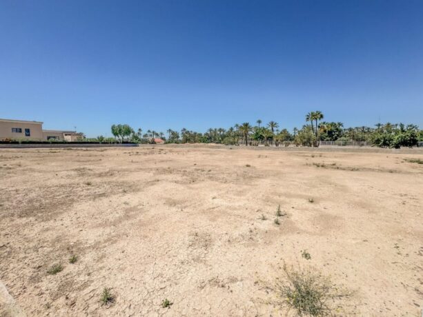 property image #2