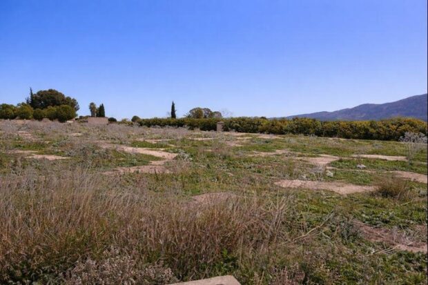 property image #4