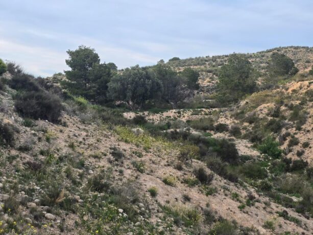 property image #1