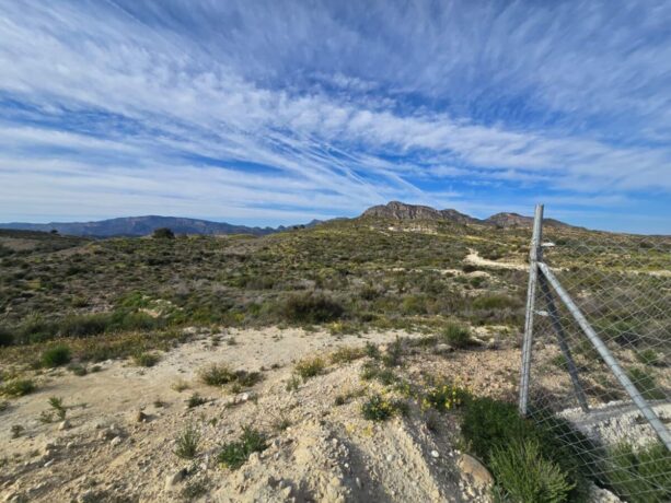 property image #2