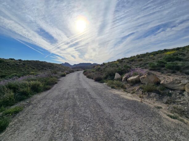 property image #3