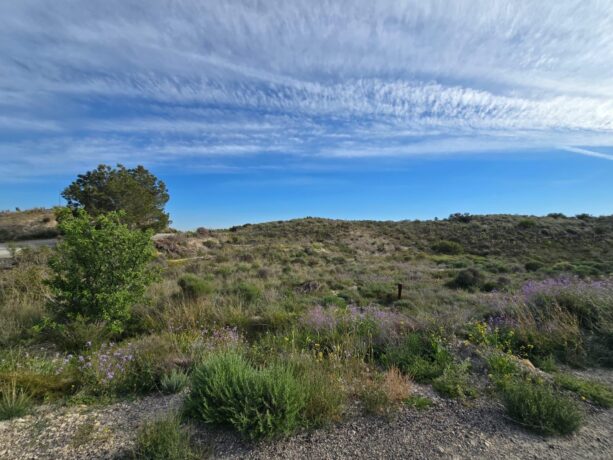 property image #4