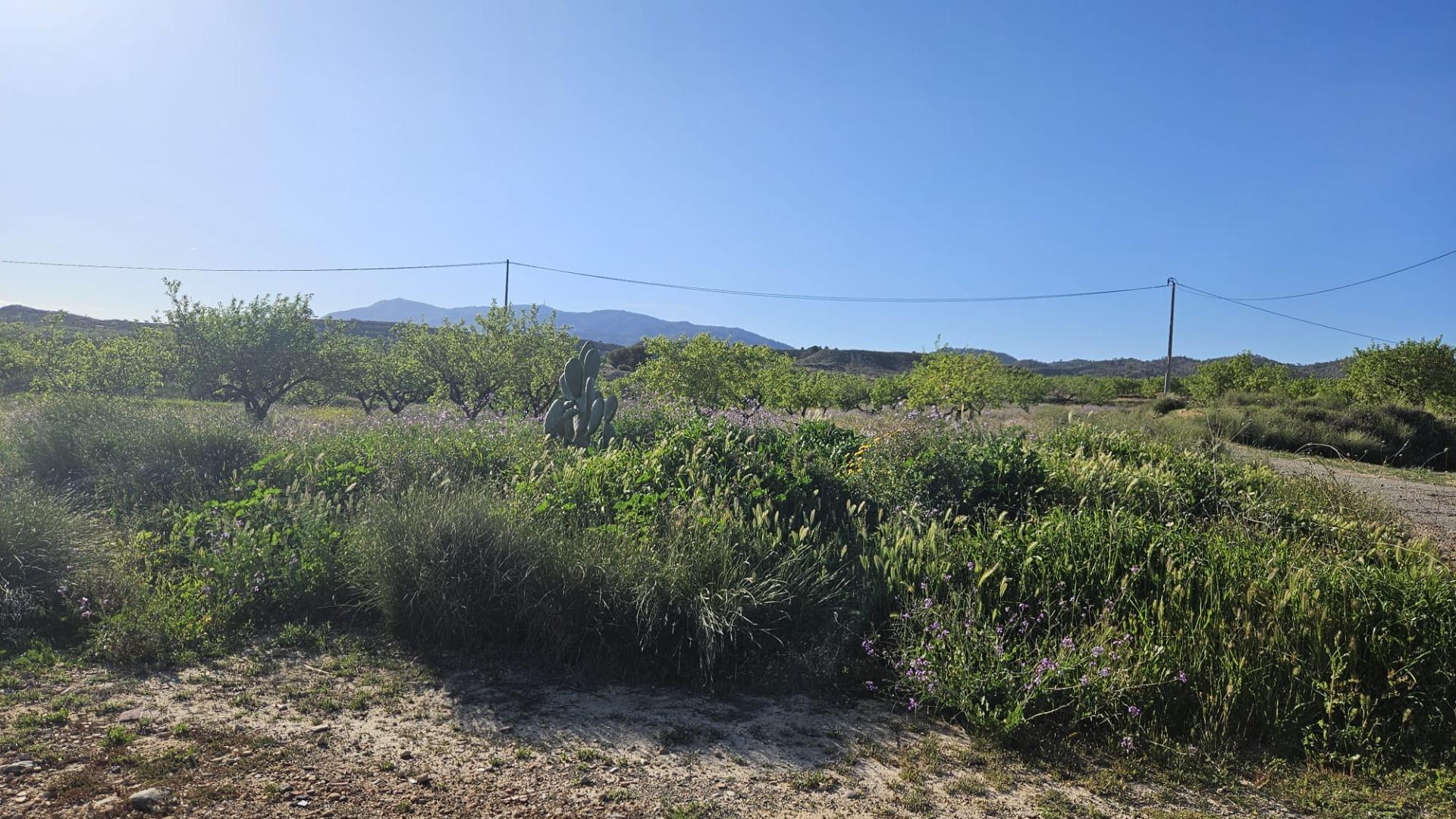 property image #0
