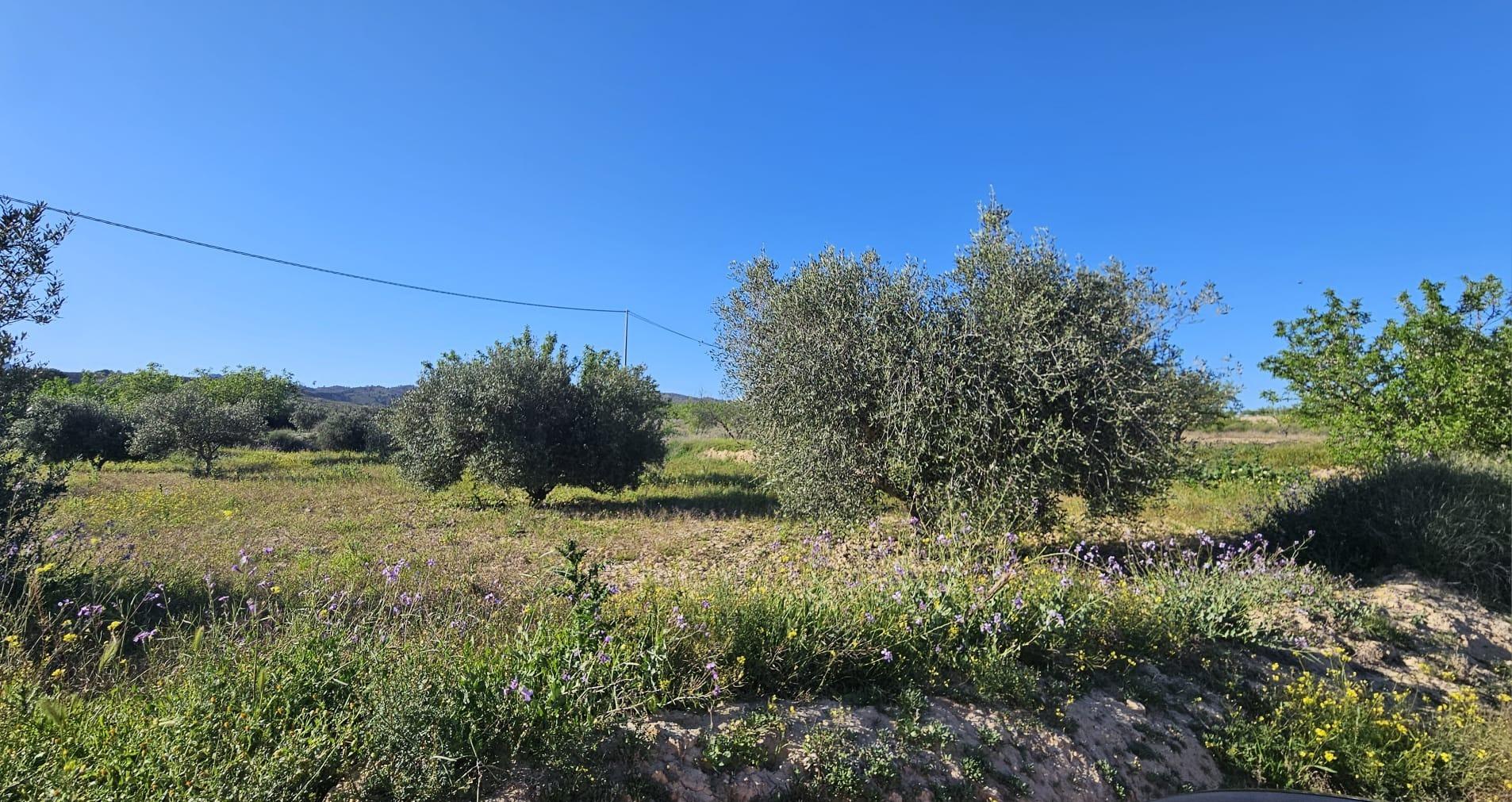 property image #1