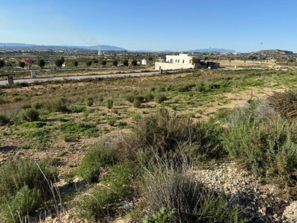 property image #4