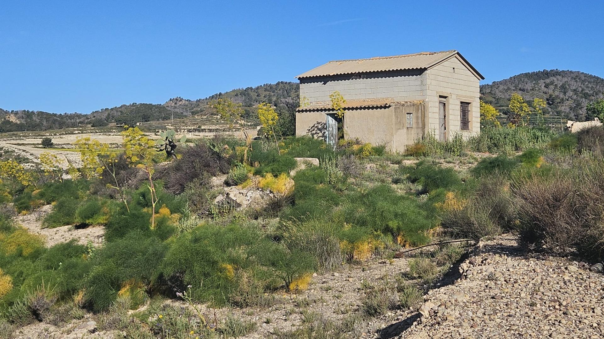 property image #1