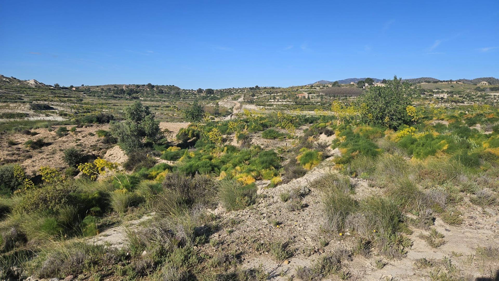 property image #2