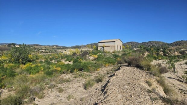 property image #3