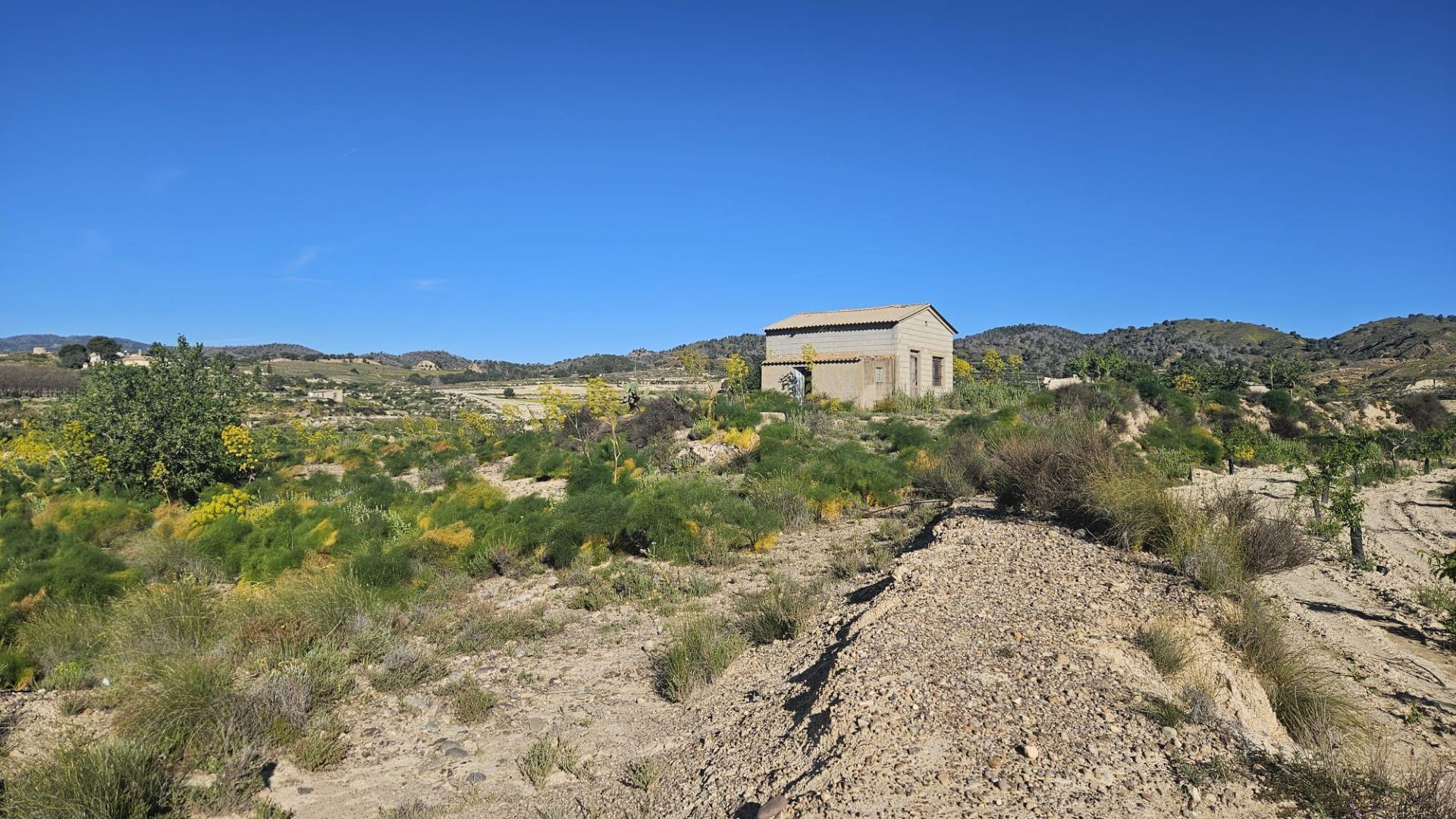 property image #3