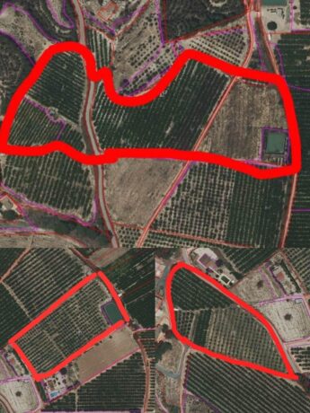 property image #0