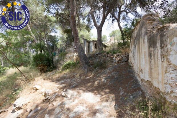 property image #0