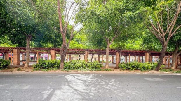 property image #3