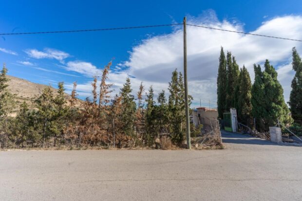 property image #4