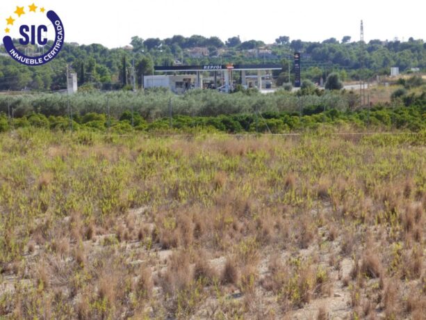 property image #0