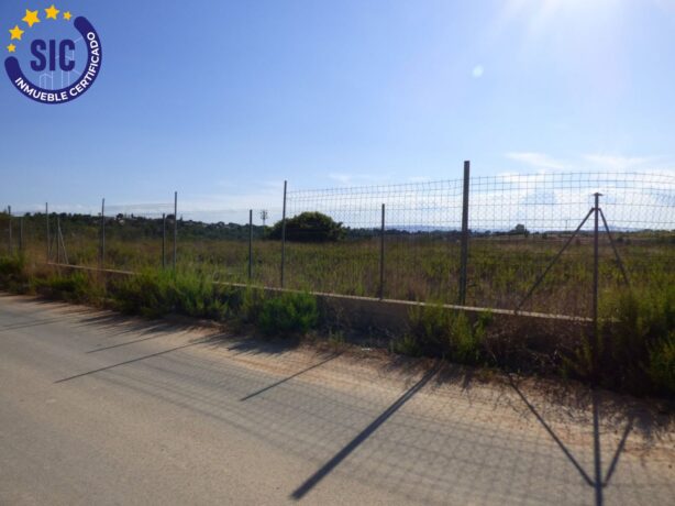 property image #3