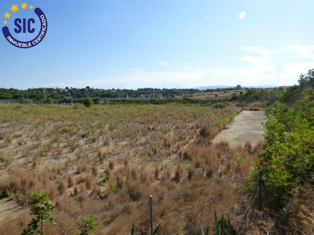property image #4