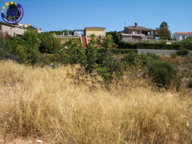 property image #4