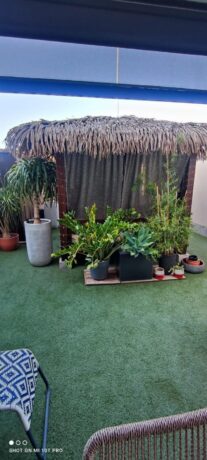 property image #2