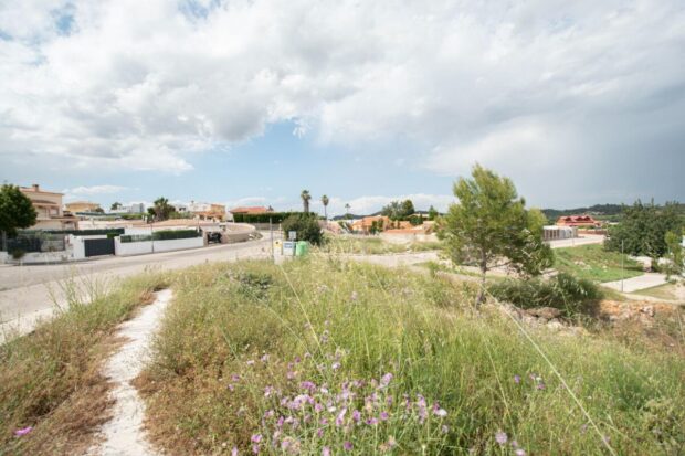 property image #2