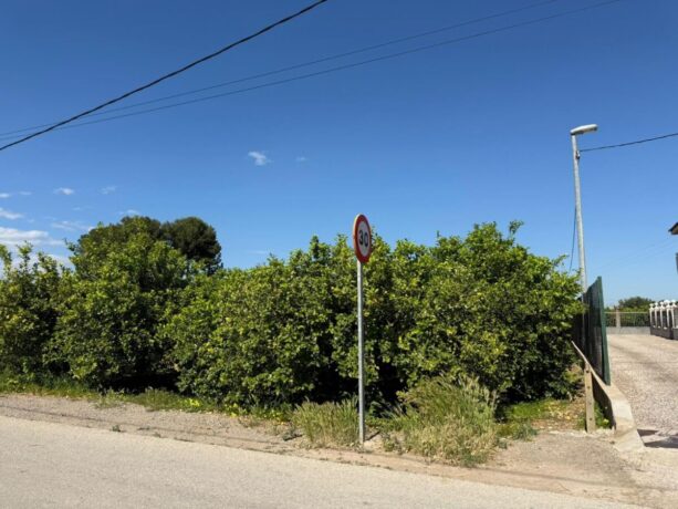 property image #1