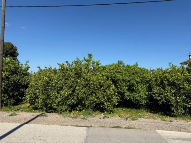 property image #2