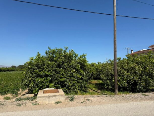 property image #3