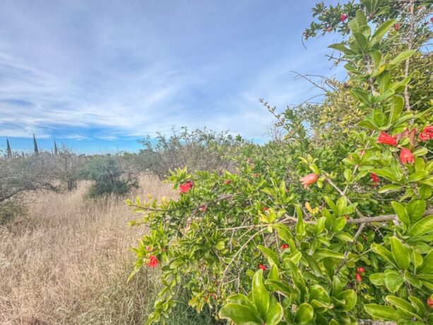 property image #2