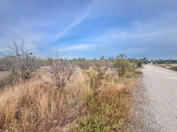 property image #3