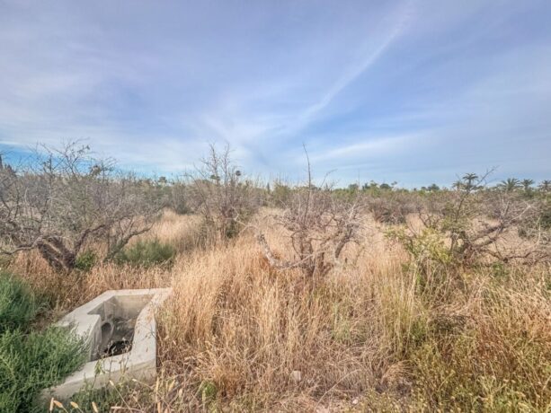 property image #4