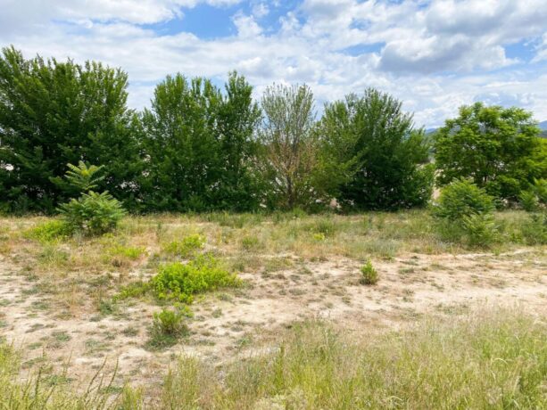property image #0
