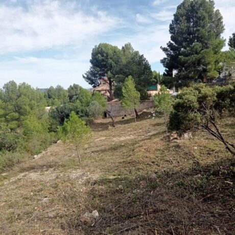 property image #2