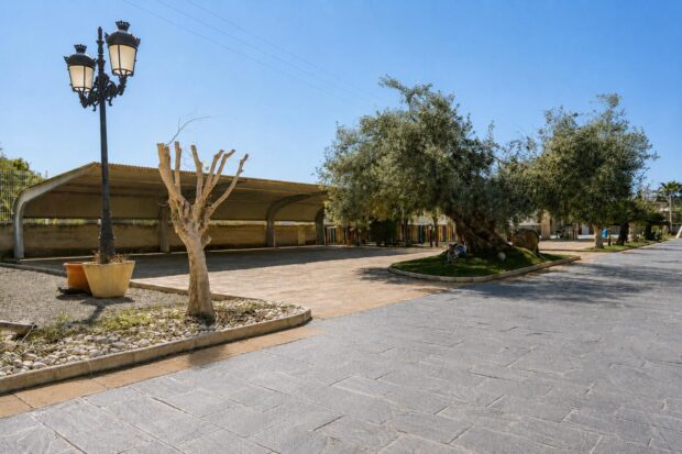 property image #4