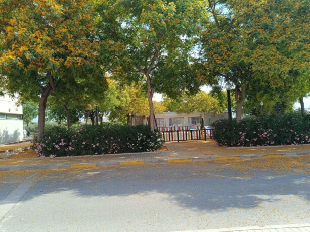 property image #2