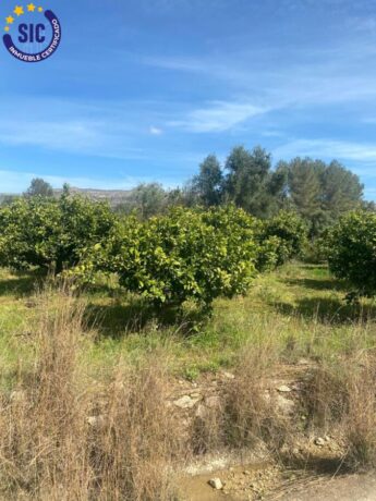 property image #2