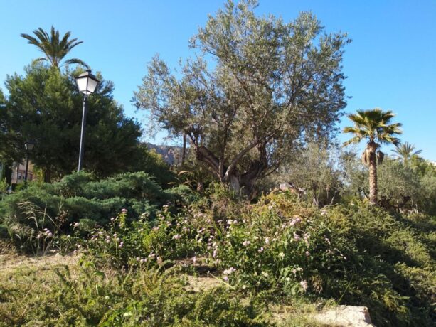 property image #3