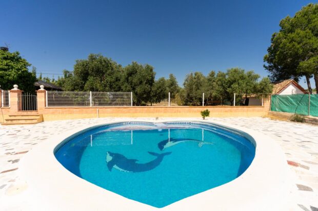 property image #4