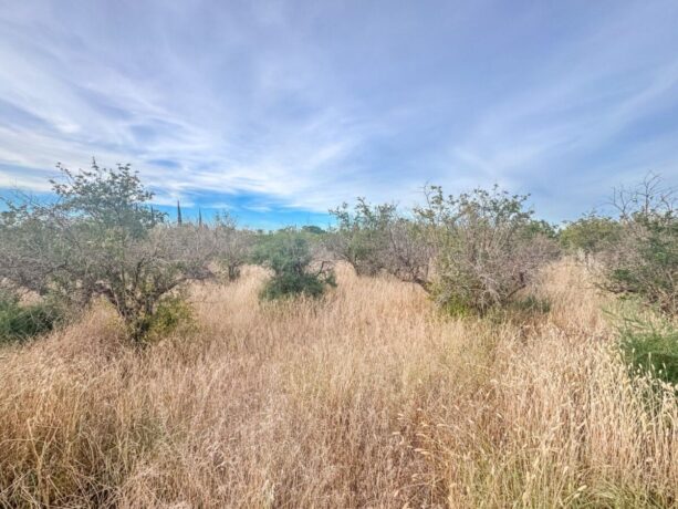 property image #4