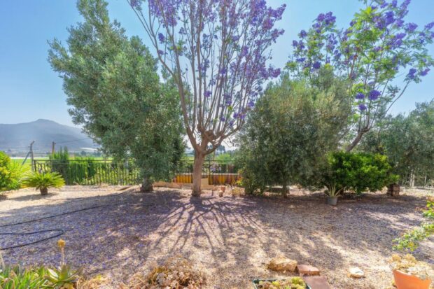 property image #2