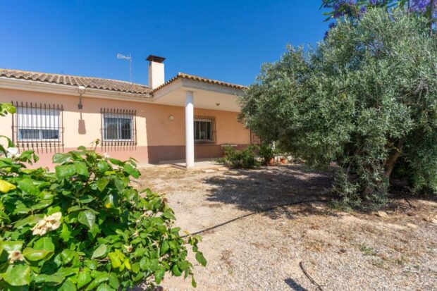 property image #4
