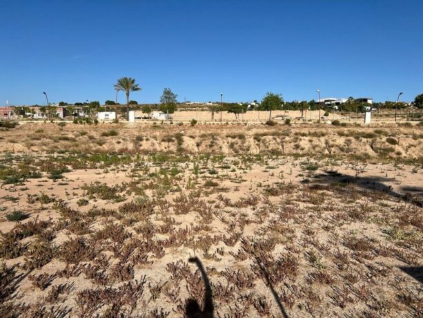 property image #4