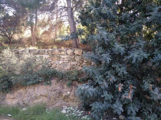 property image #0