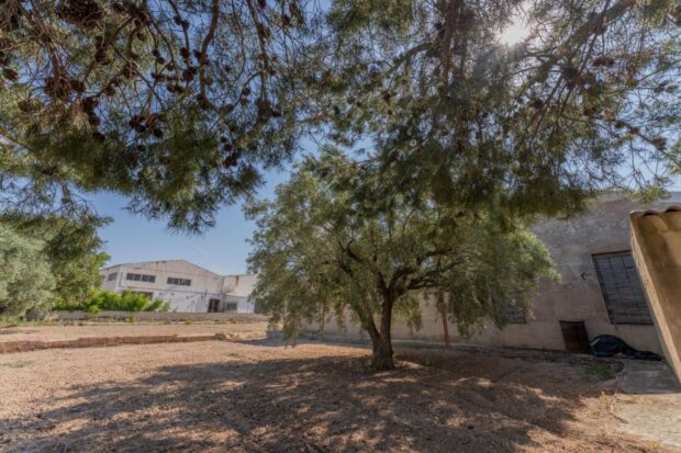 property image #1