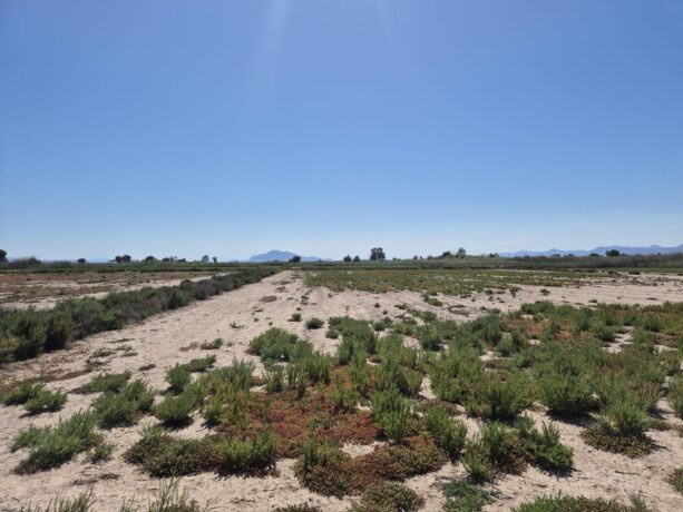 property image #1