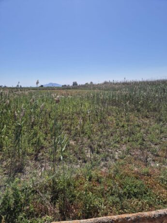 property image #2